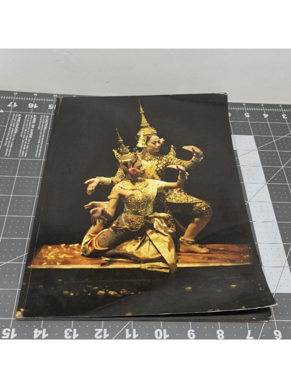 Sophiline Cheam Shapiro New Works 1999-2006 Book Cambodian Classical Dance Khmer